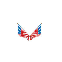 Stripes