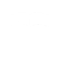 Partners in Promise